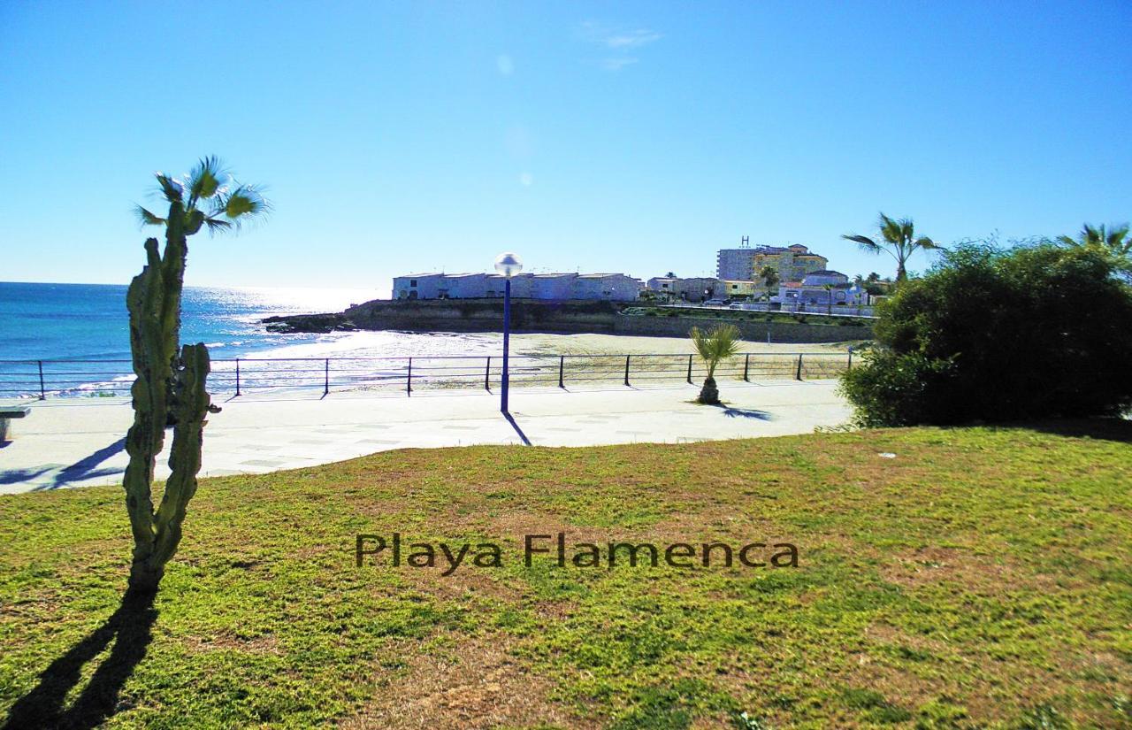 Apartment With Large Roof Solarium Dehesa de Campoamor  Exterior photo